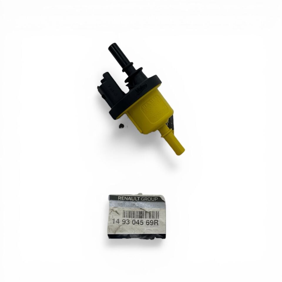 Renault Megane 4 Clio 5 Duster Kanister Valfi 149304569R