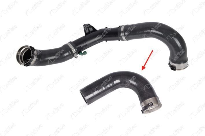 Renault Master 3 2020 Euro 6 Turbo Hortumu Kauçuk Kısım 144608193R