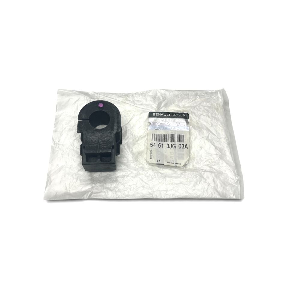 Renault Koleos Viraj Demir Orta Lastiği 54613JG03A